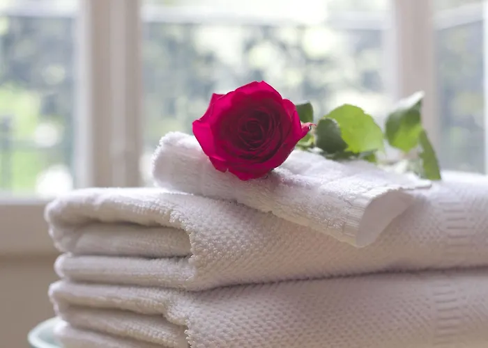 Daire Cera Ca' De La Mandola Venedik